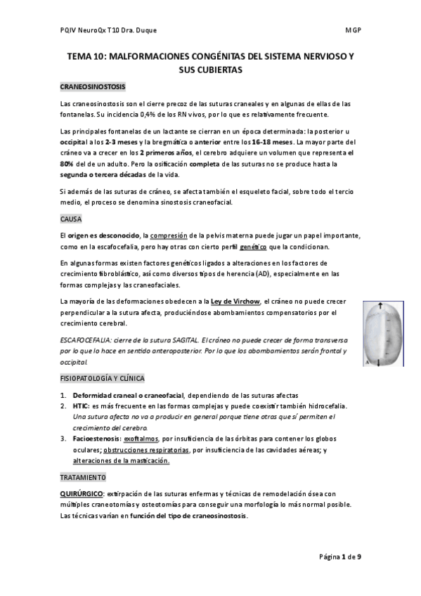Miniatura del documento TEMA-10.pdf