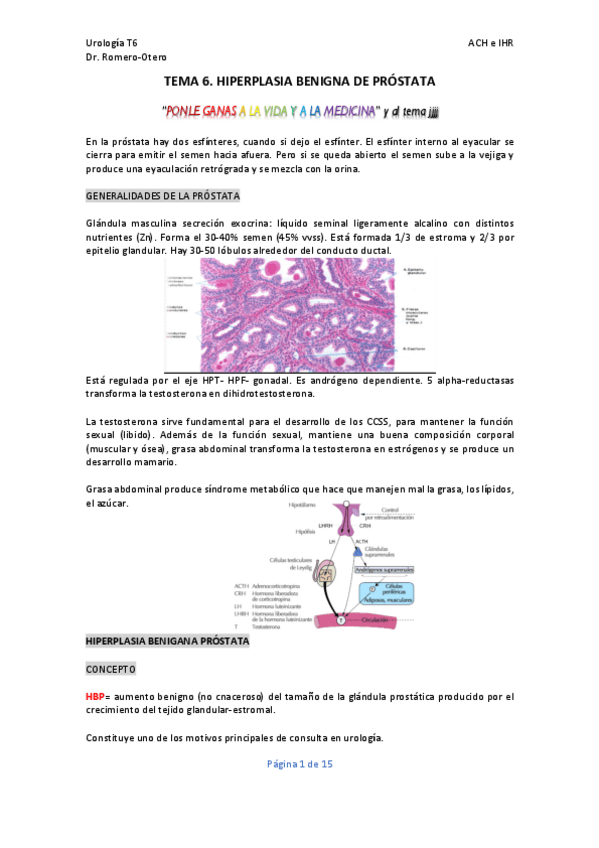 Miniatura del documento TEMA-6.-Uro.pdf