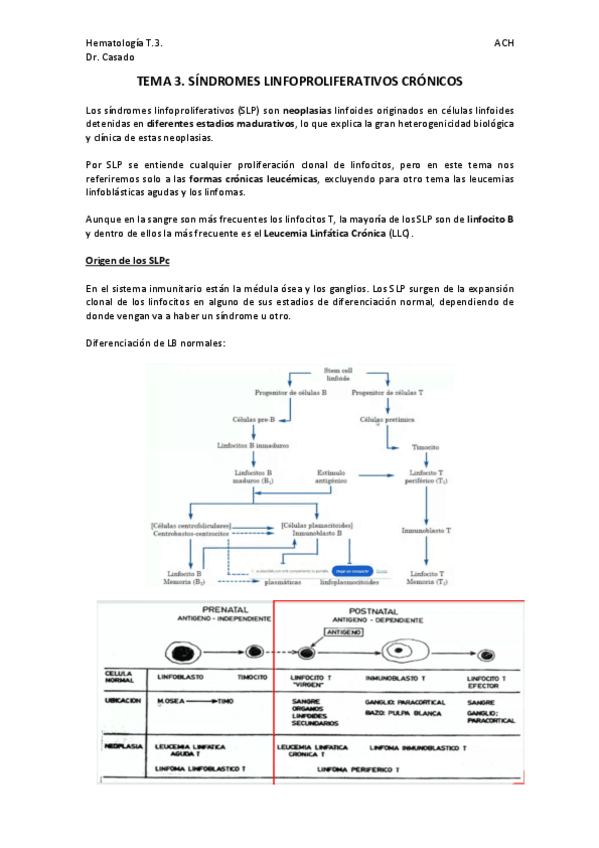 Miniatura del documento TEMA-3.-HEMATO.pdf