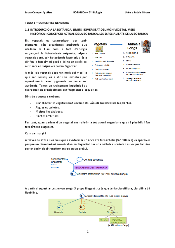 Miniatura del documento BOTANICA1.pdf