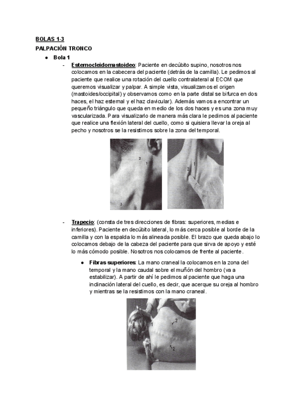 Miniatura del documento BOLAS-1-3.pdf