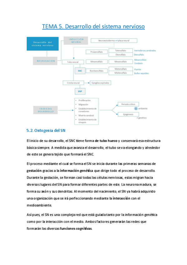 Miniatura del documento Resumen-T5.pdf