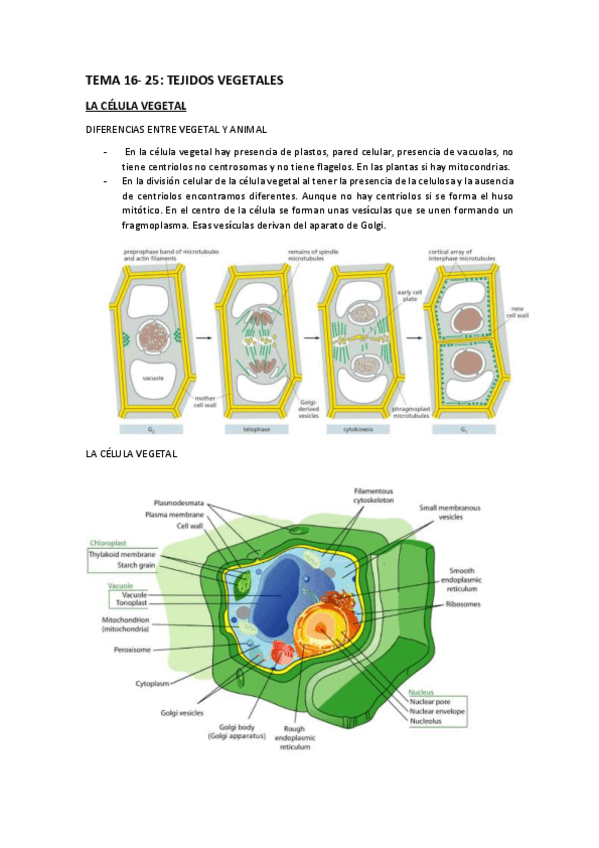 Miniatura del documento TEMA-16-25.pdf