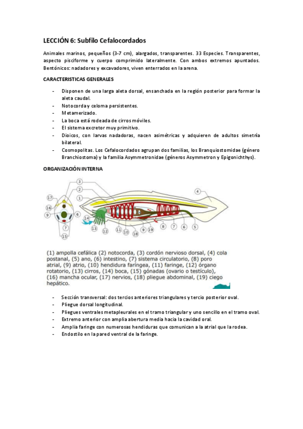 Miniatura del documento LECCION-6.pdf