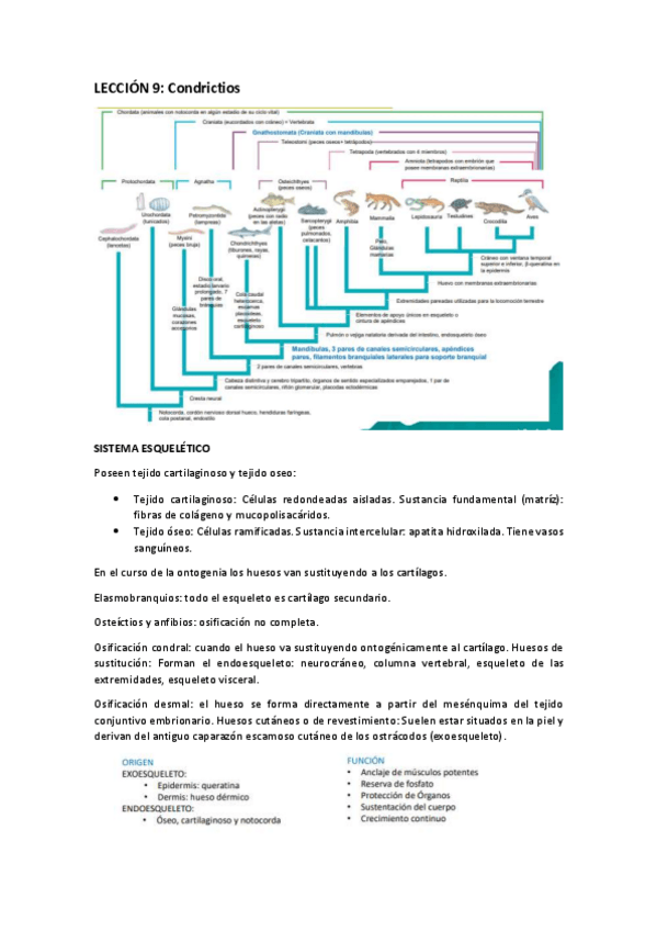 Miniatura del documento LECCION-9.pdf