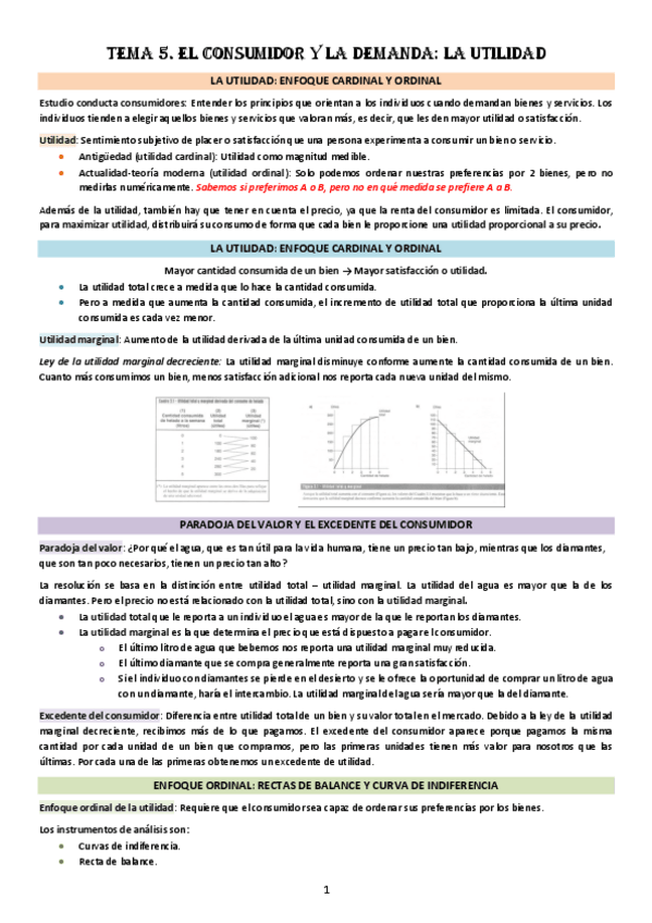 Miniatura del documento TEMA-5.pdf