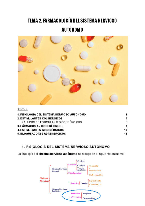 Miniatura del documento TEMA-2.-FARMACOLOGIA-DEL-SISTEMA-NERVIOSO-AUTONOMO.pdf