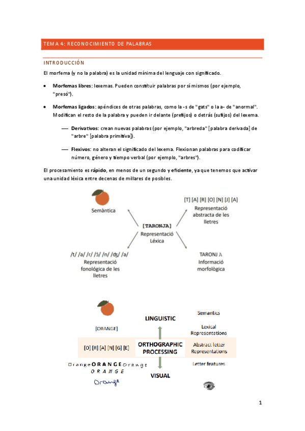 Miniatura del documento TEMA-4-RECONOCIMIENTO-DE-PALABRAS.pdf