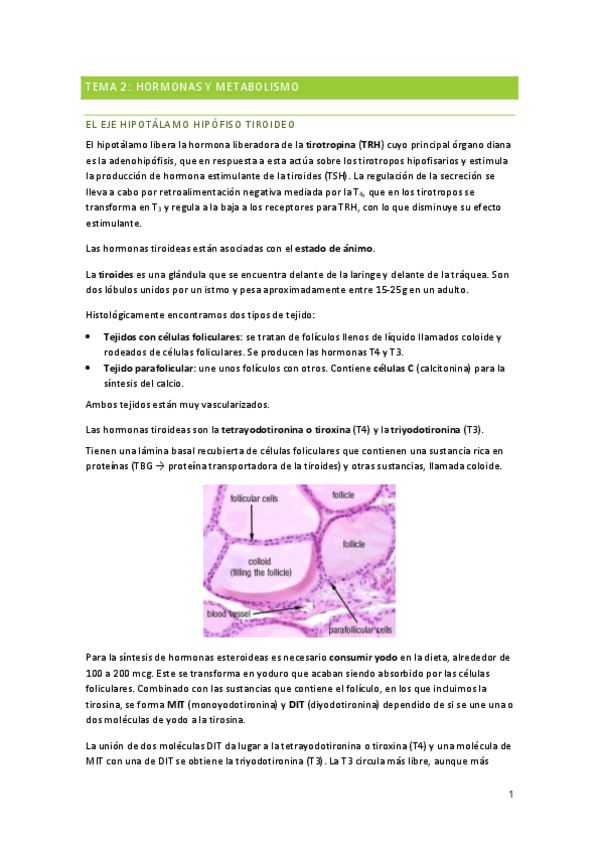 Miniatura del documento TEMA-2-HORMONAS-Y-METABOLISMO.pdf