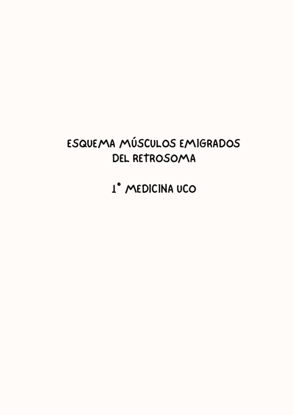 Miniatura del documento Esquema-musculos-emigrados-del-retrosoma.pdf