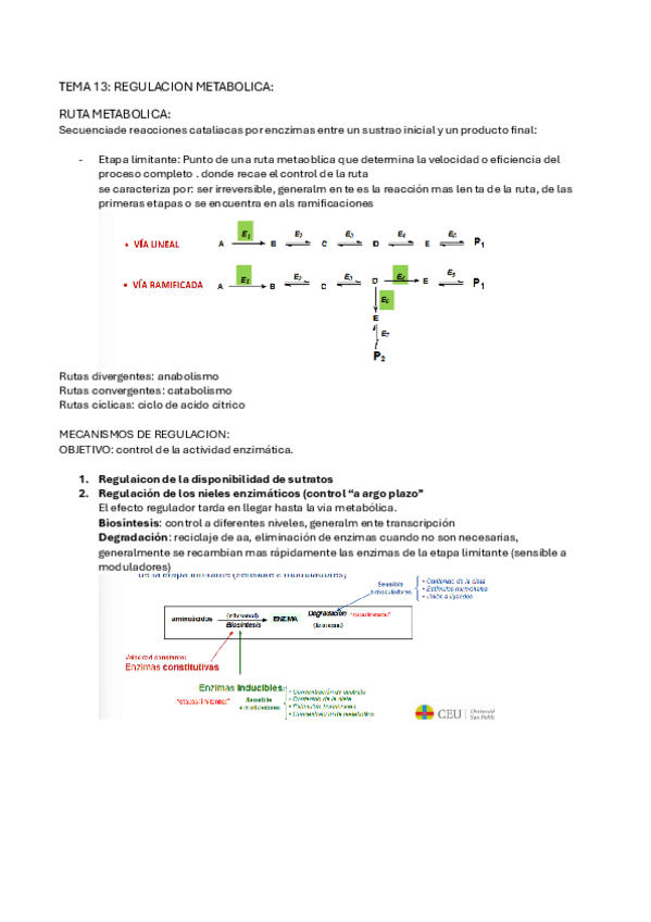 Miniatura del documento TEMA-13.pdf