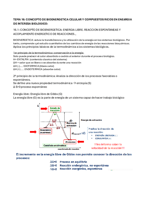 Miniatura del documento TEMA-16.pdf