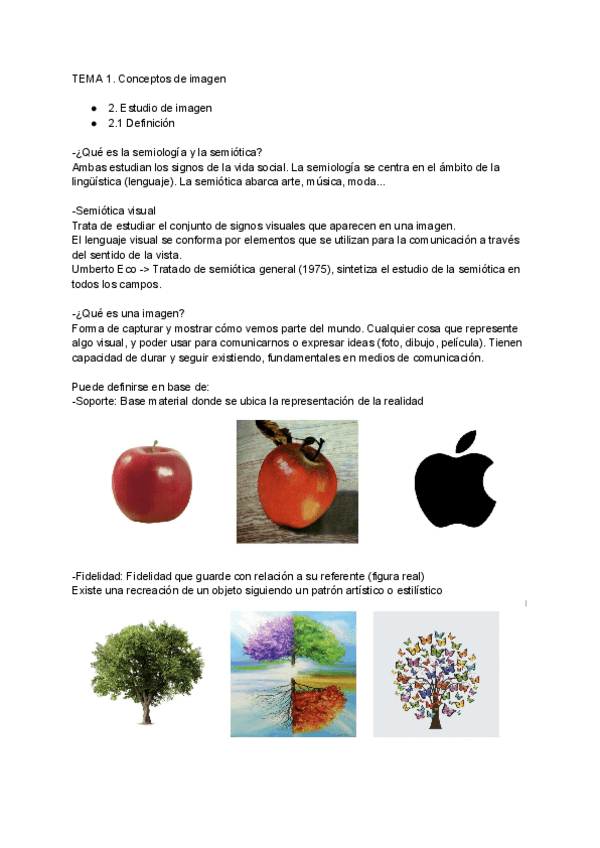 Miniatura del documento TEORIA-DE-LA-IMAGEN-TEMA-1.pdf