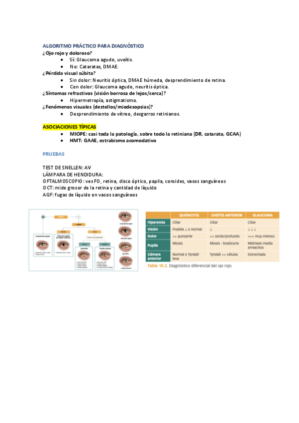 Miniatura del documento ecoe-oftalmo.pdf