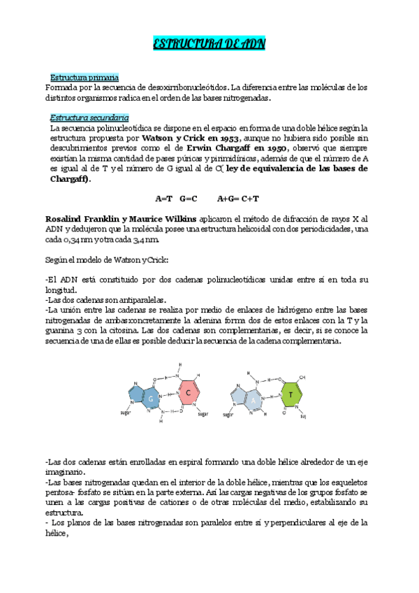 Miniatura del documento ESTRUCTURA-DE-ADN.pdf