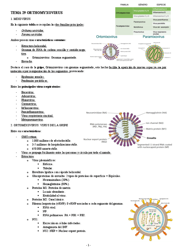 Miniatura del documento MICROBIOLOGIA-TEMA-29-ORTHOMYXOVIRUS.pdf