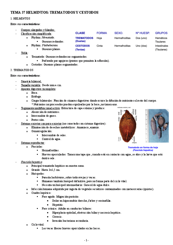 Miniatura del documento MICROBIOLOGIA-TEMA-37-HELMINTOS-TREMATODOS-Y-CESTODOS.pdf