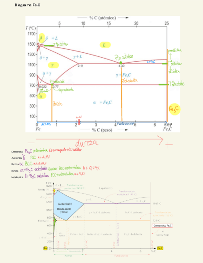Miniatura del documento Diagrama-Fe-C-y-microestructura-explicado.pdf