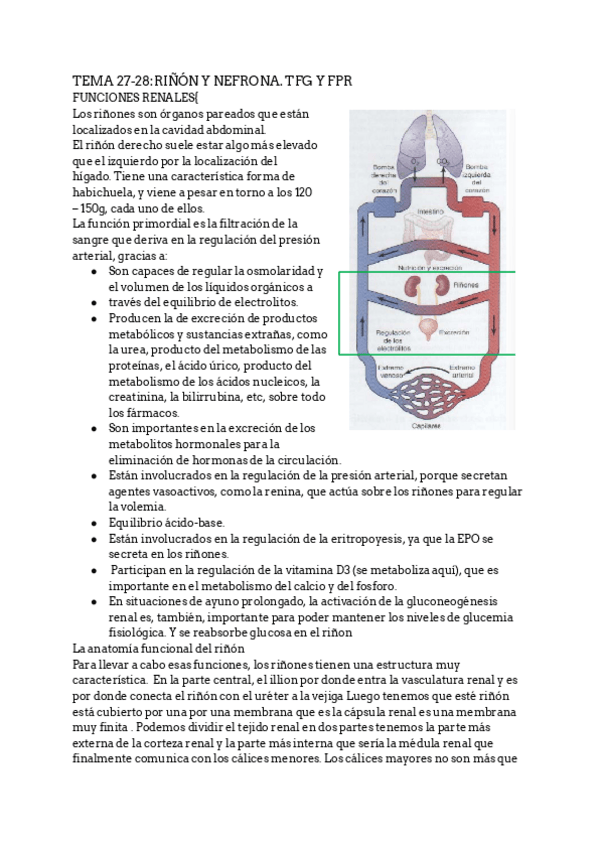 Miniatura del documento Renal.pdf
