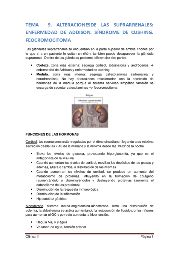 Miniatura del documento Clínica T9.pdf
