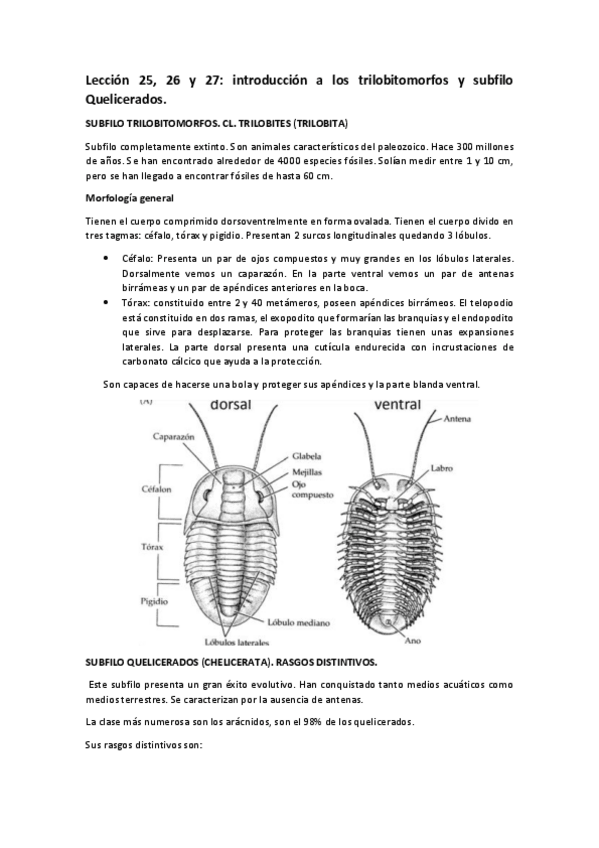 Miniatura del documento Leccion-25-26-y-27-1o-cuatri.pdf