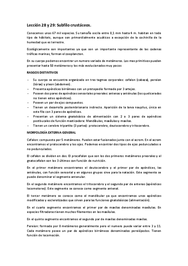 Miniatura del documento Leccion-28-y-29-1o-cuatri.pdf
