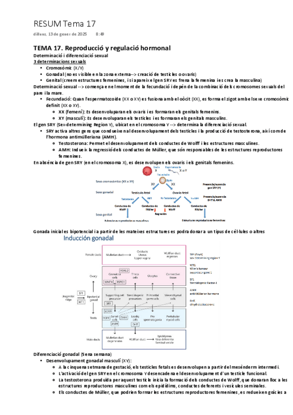 Miniatura del documento TEMA-17-Reproduccio-y-regulacio-hormonal.pdf