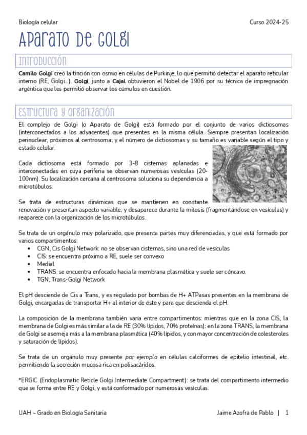Miniatura del documento 6.-AparatoGolgi.pdf