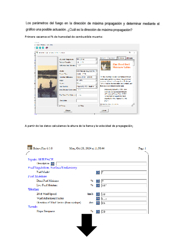 Miniatura del documento JorgeMoralesGarcia-Ejercicio-Resumen-Behave-plus.pdf