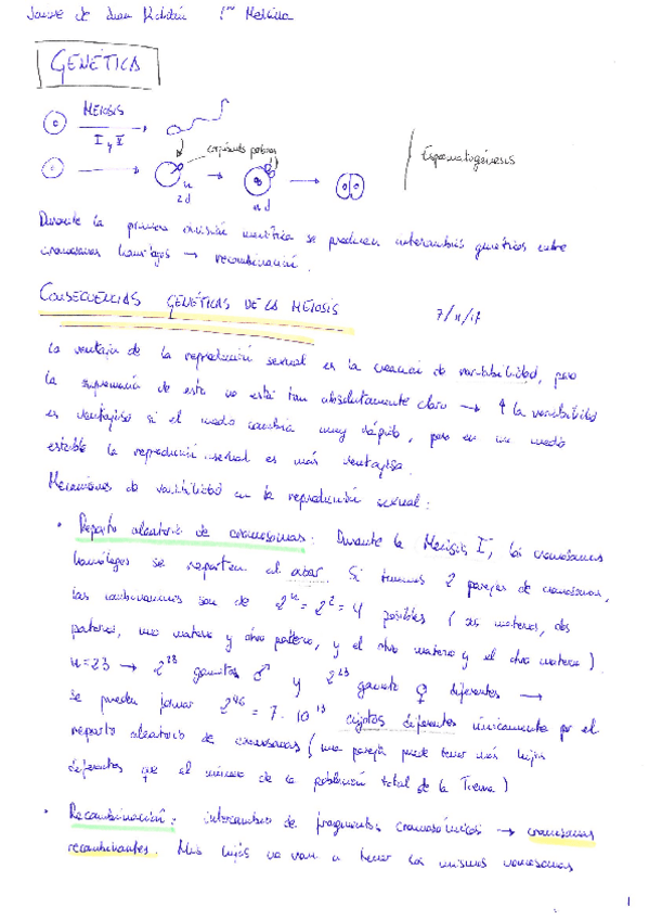 Miniatura del documento Genética 17-18.pdf