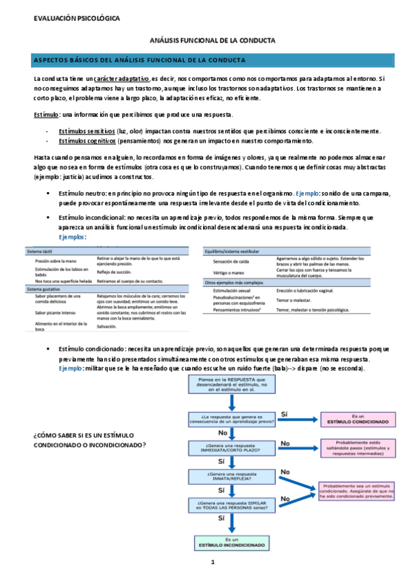 Miniatura del documento Analisis-funcional.pdf