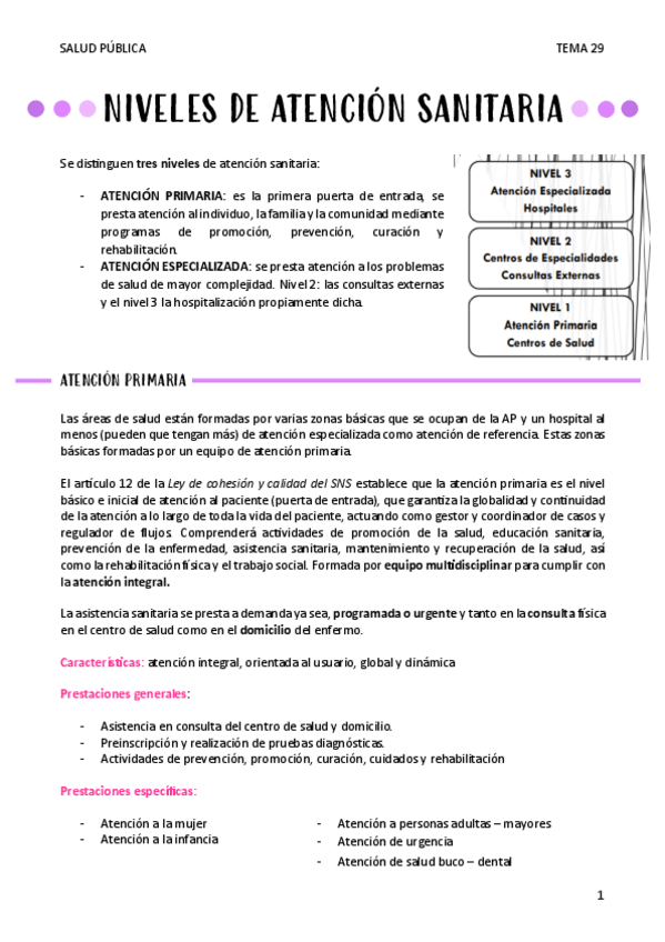 Miniatura del documento NIVELES-DE-ATENCION-SANITARIA-T29.pdf