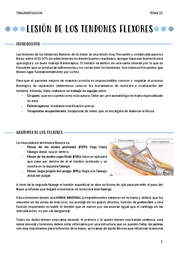 Miniatura del documento LESION-DE-LOS-TENDONES-FLEXORES-T15.pdf