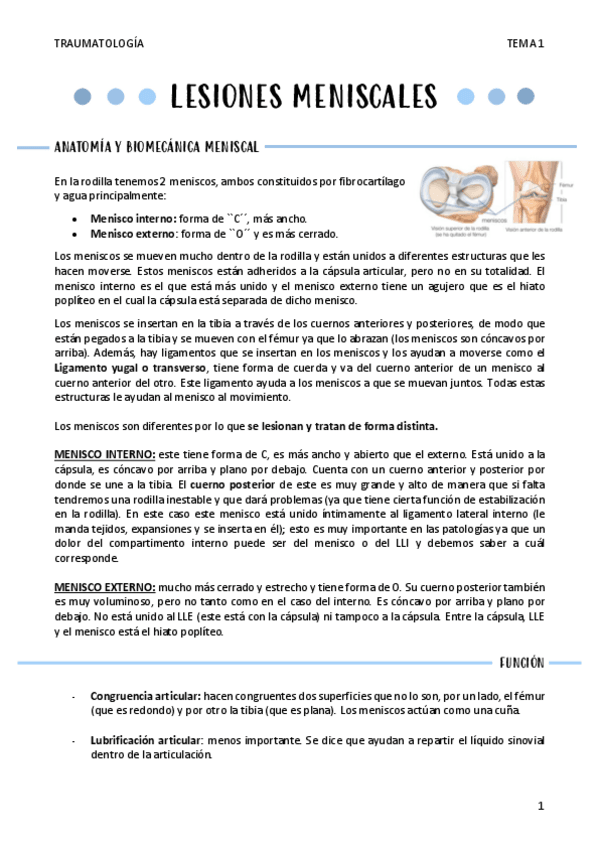 Miniatura del documento LESIONES-MENISCALES-T1.pdf