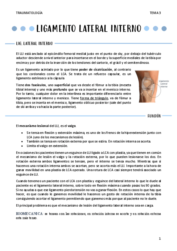 Miniatura del documento LIGAMENTO-LATERAL-INTERNO-T3..pdf