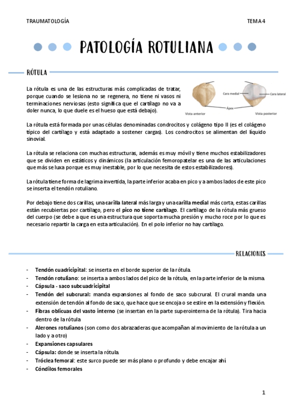 Miniatura del documento PATOLOGIA-ROTULIANA-T4.pdf