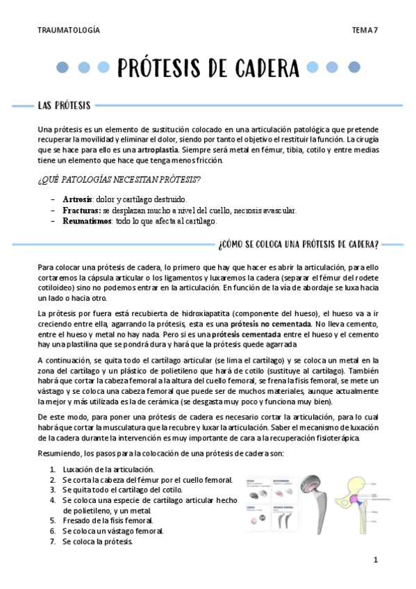 Miniatura del documento PROTESIS-DE-CADERA-T7.pdf