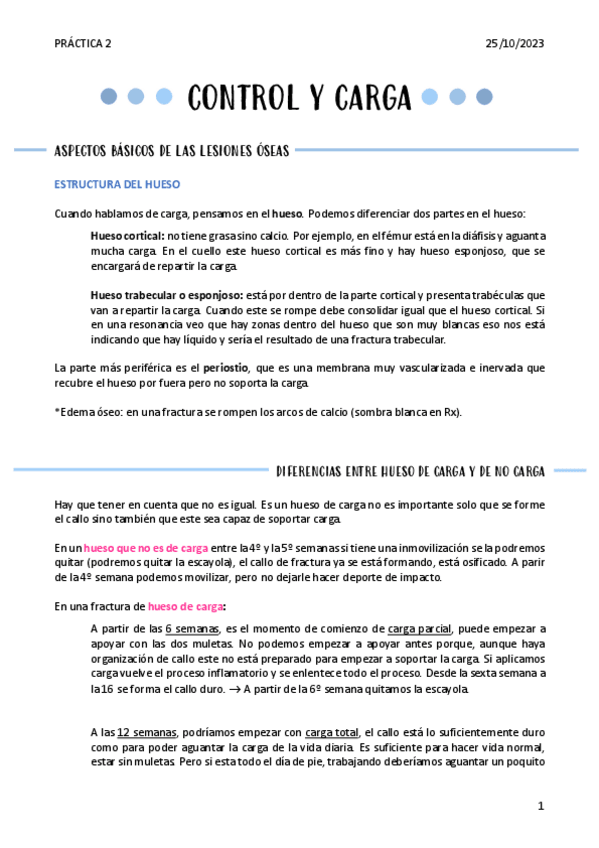 Miniatura del documento CONTROL-Y-CARGA-P2.pdf