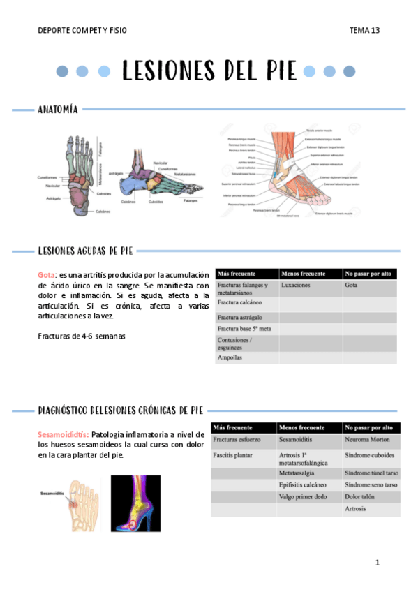 Miniatura del documento LESIONES-DEL-PIE-T13.pdf