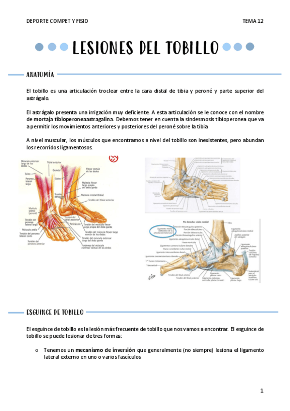 Miniatura del documento LESIONES-DEL-TOBILLO-T12.pdf