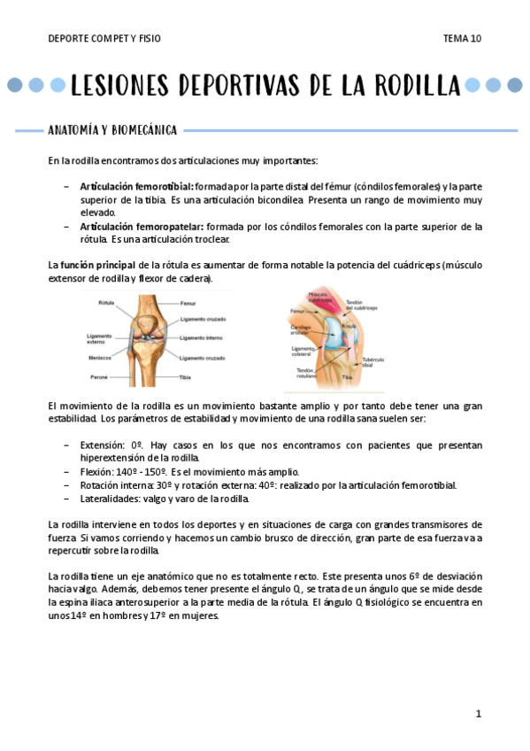 Miniatura del documento LESIONES-DEPORTIVAS-DE-LA-RODILLA-t10.pdf