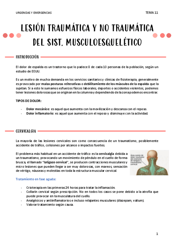 Miniatura del documento LESION-TRAUMATICA-Y-NO-TRAUMATICA-DEL-SIST-MUSCULOESQ-T11.pdf
