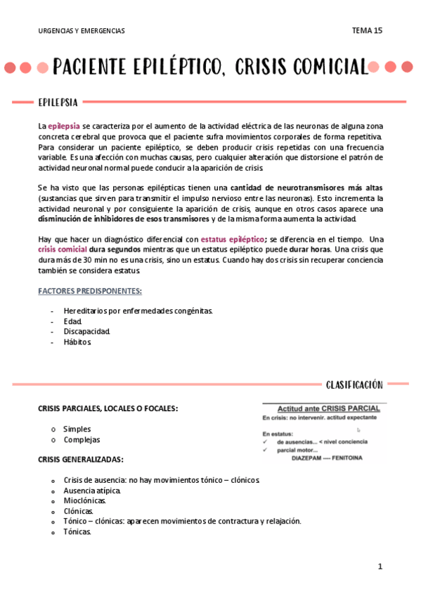 Miniatura del documento PACIENTE-EPILEPTICO-T15.pdf