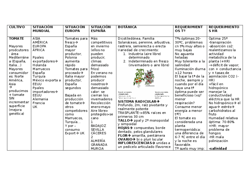 Miniatura del documento TOMATE-1.docx