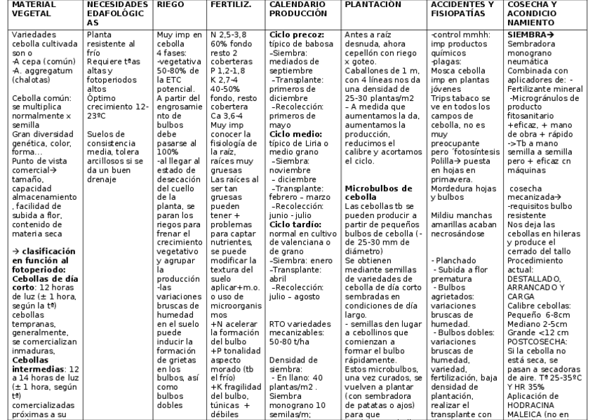 Miniatura del documento CEBOLLA-2.docx