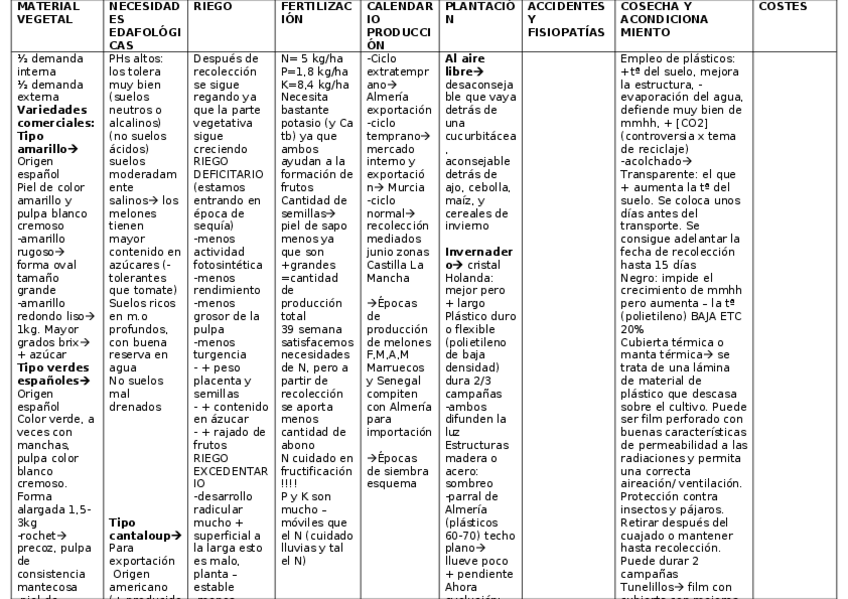 Miniatura del documento MELON-2.docx