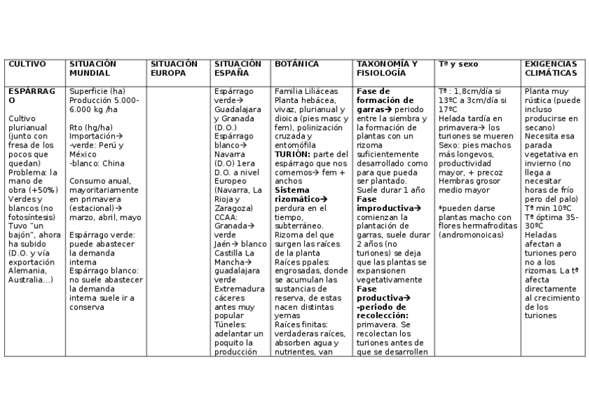 Miniatura del documento ESPARRAGO-1.docx