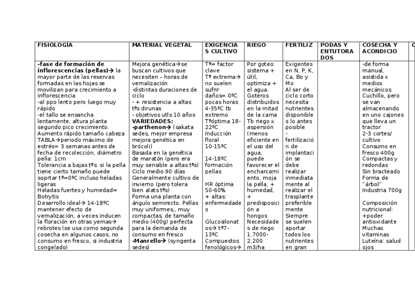 Miniatura del documento BROCOLI-2.docx