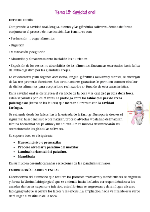 Miniatura del documento Tema-15-cavidad-bucal.pdf