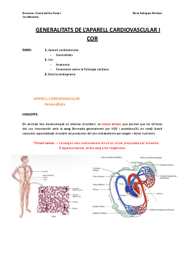 Miniatura del documento Bloc-I-T1.a.-Aparell-cardiovascular-Generalitats-de-laparell-cardiiovascular-i-cor.pdf